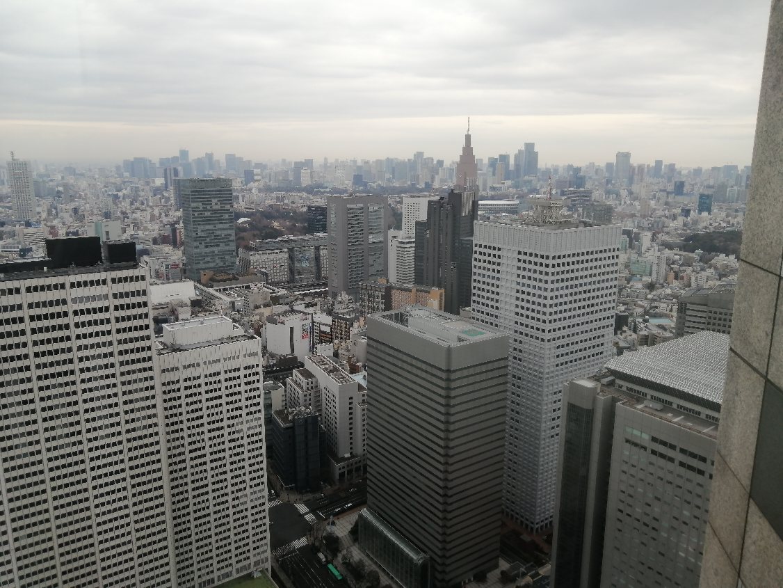 画像の説明