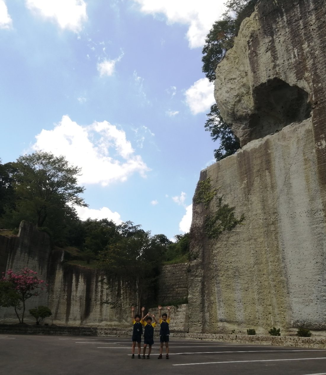 画像の説明 画像の説明