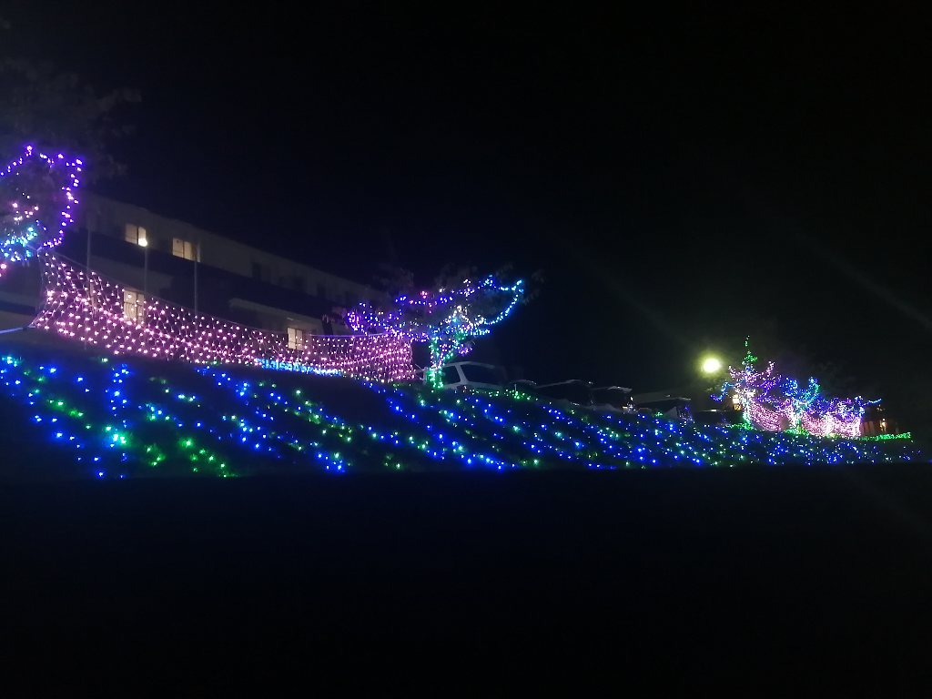 画像の説明 画像の説明